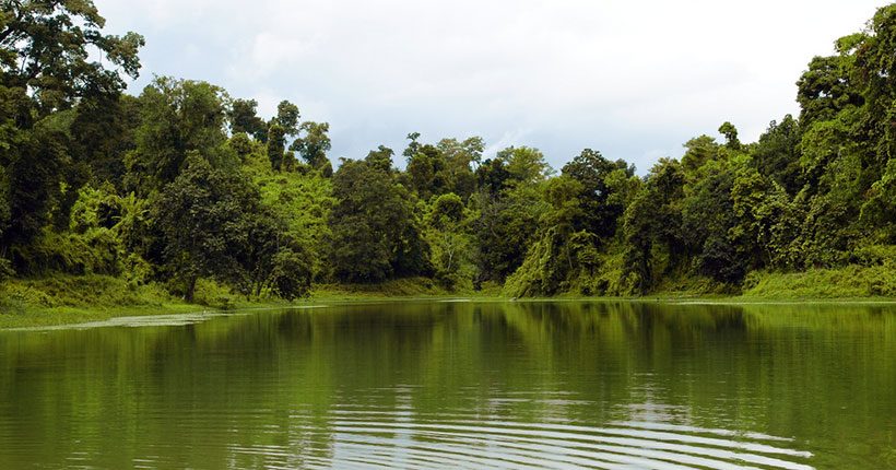 স্বামীর সঙ্গে অভিমান করে দুই সন্তানসহ পুকুরে ঝাঁপ!