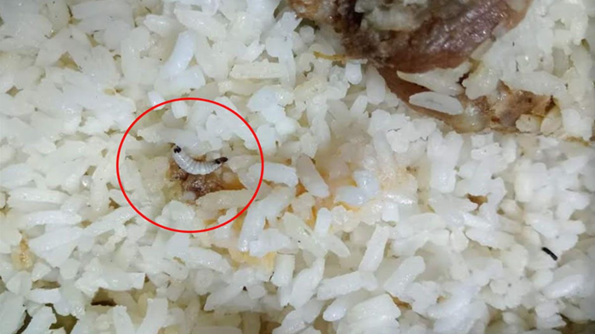 স্বাধীনতা দিবসের খাবারে পোকা, বেরোবিতে শিক্ষার্থীদের ক্ষোভ