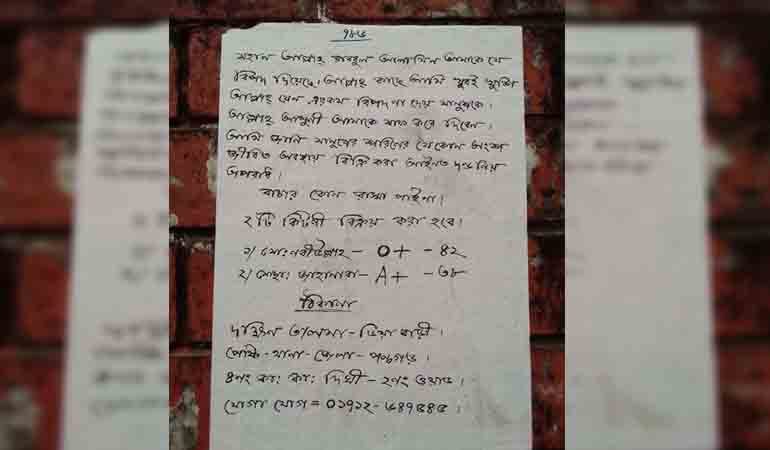 চিকিৎসার অর্থ জোগাতে কিডনি বিক্রি করতে চায় দম্পতি
