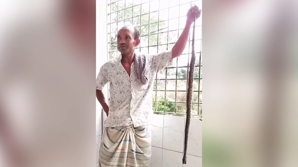 কামড় দেওয়া রাসেল ভাইপার নিয়েই হাসপাতালে কৃষক