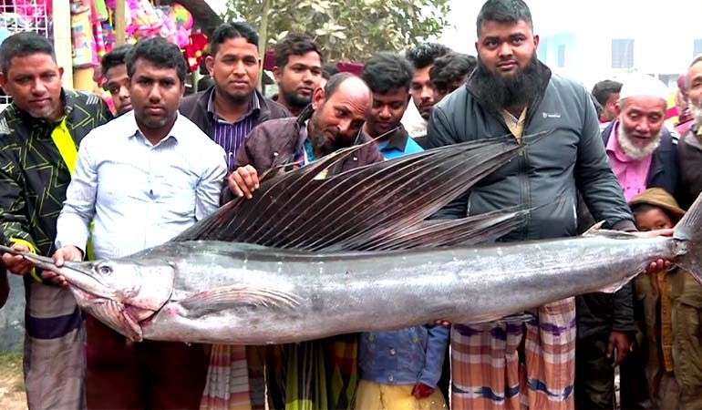 বগুড়ার ঐতিহ্যবাহী পোড়াদহ মেলা শুরু,মেলার মূল আকর্ষণ পাখি মাছ
