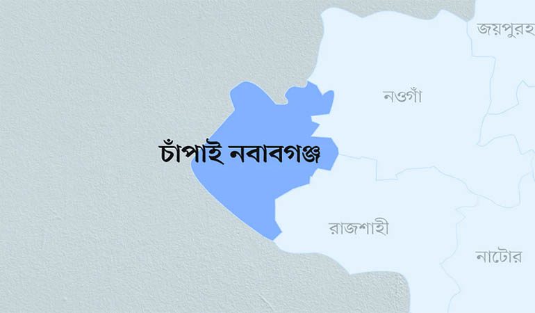 শিবগঞ্জে ভাইয়ের হাতে ভাই খুন