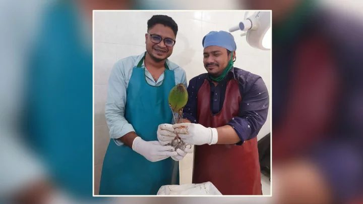 পায়ুপথে ছিল ৬ ইঞ্চি ডাব, অস্ত্রোপচারে অপসারণ