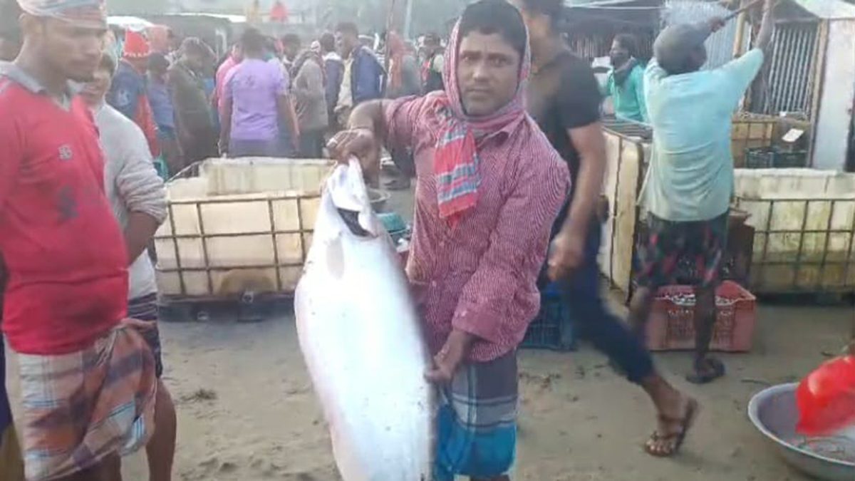 বড়শিতে ধরা পড়ল ৯ কে‌জির চিতল