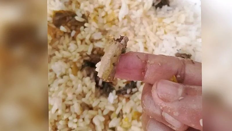 ইবির আবাসিক হলের খাবারে মিলল সিগারেটের টুকরা