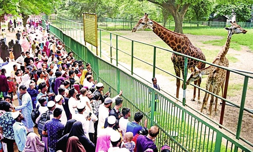 চিড়িয়াখানায় প্রাণীদের উত্ত্যক্ত করলে গুনতে হবে জরিমানা