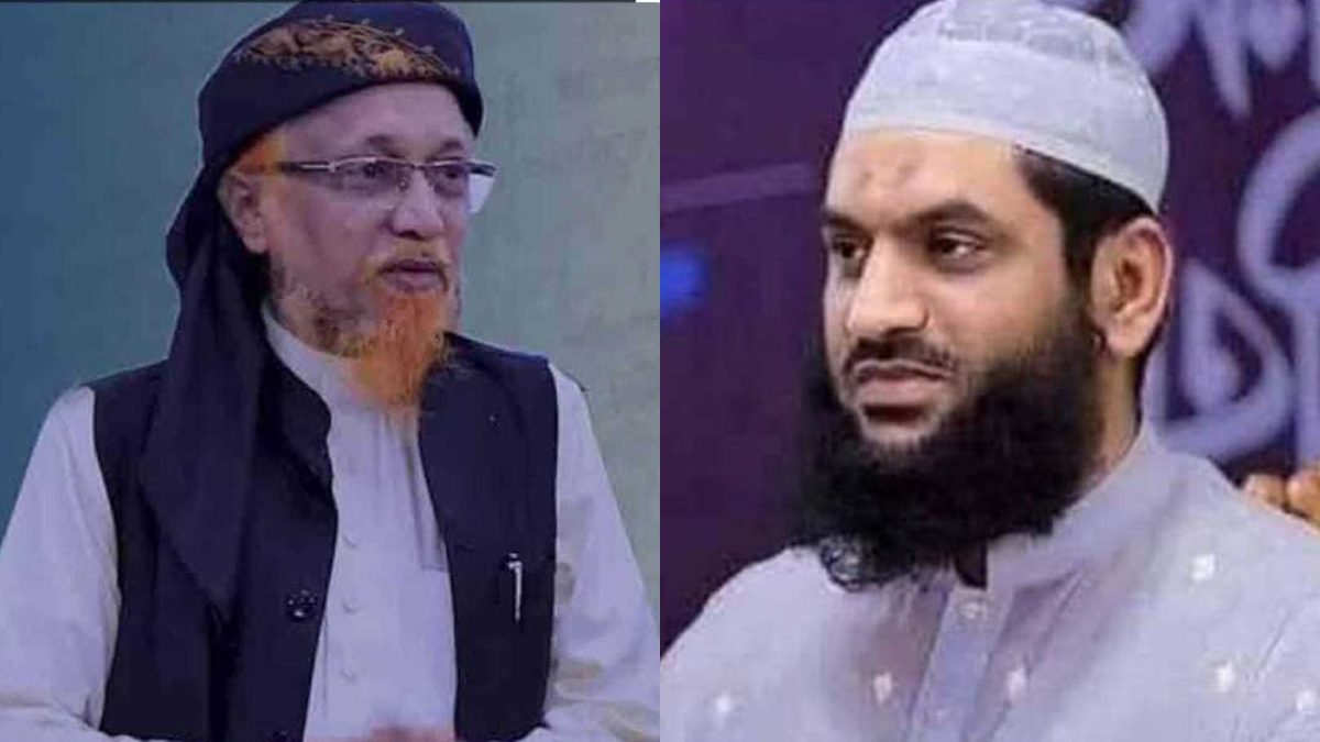 হেফাজতের ঢাকা মহানগর কমিটি গঠন : সভাপতি হাবীব, সম্পাদক মামুনুল হক