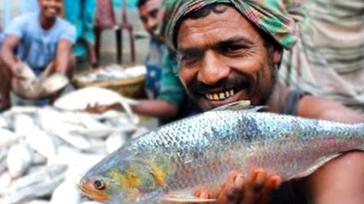 ১৩ অক্টোবর থেকে ৩ নভেম্বর পর্যন্ত ইলিশ আহরণ-বিক্রি নিষিদ্ধ