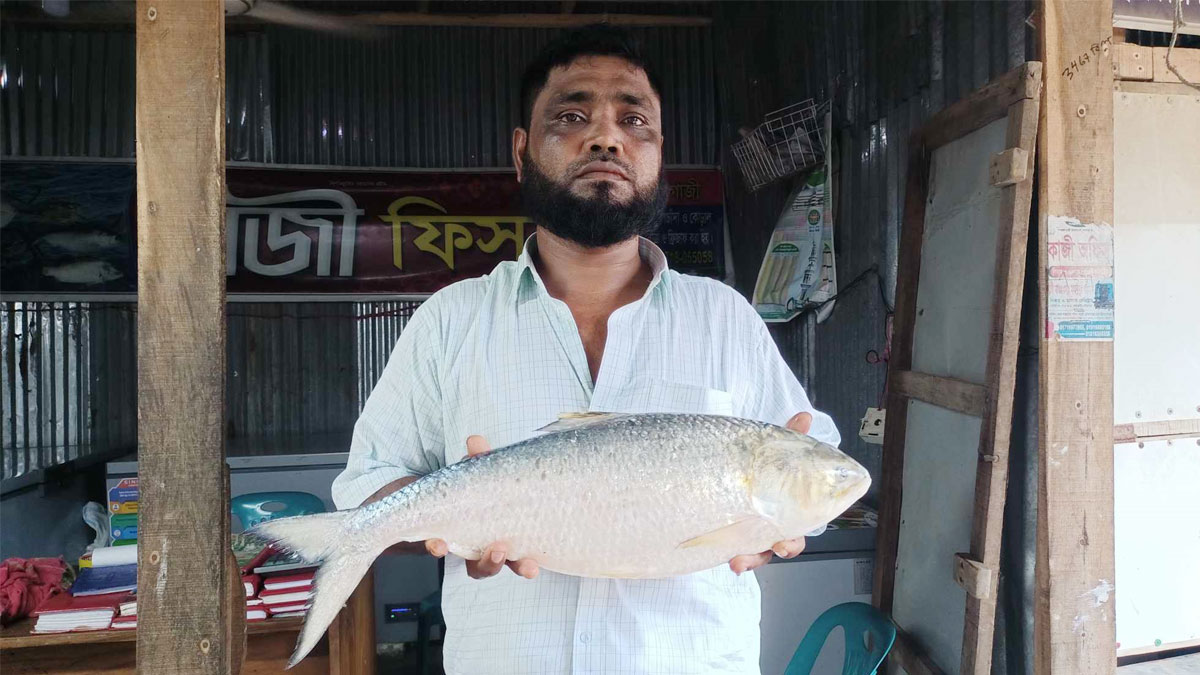 এক ইলিশ ১৩ হাজারে বিক্রি