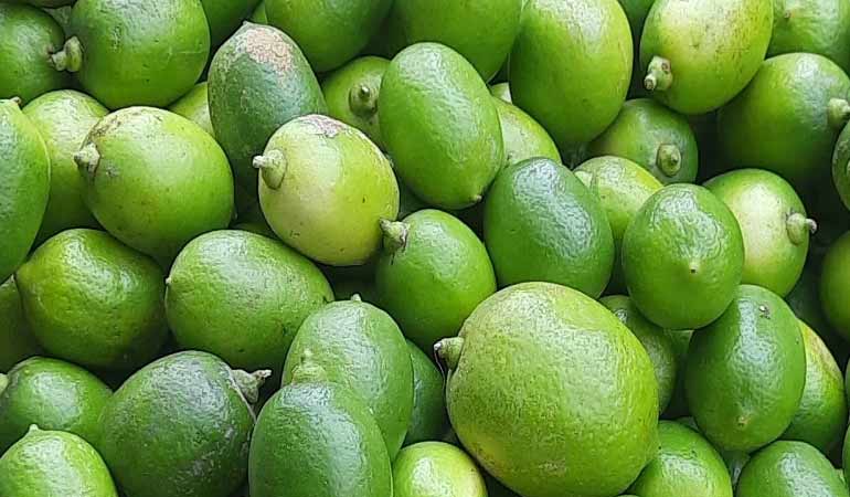 লেবুর হালি ৮০ টাকা!
