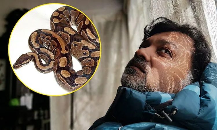 সৃজিতের সাপ দেখতে বাড়িতে নায়িকাদের ঢল