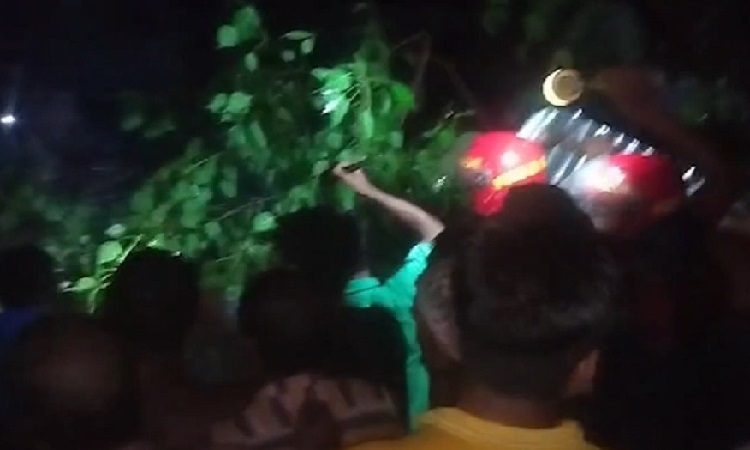 ঝড়ে গাছ পড়ে রাজশাহীতে ৩ জনের প্রাণহানি
