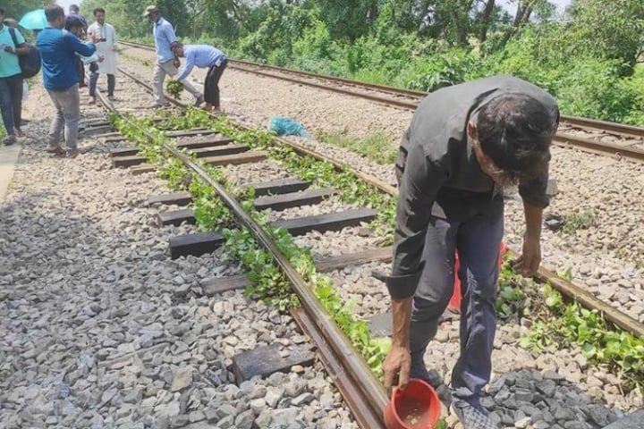 বেঁকে যাওয়া রেললাইন ঠান্ডা করতে কচুরিপানা