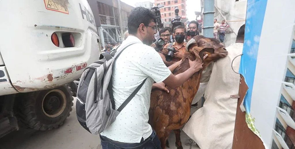 সাদিক এগ্রো থেকে সরানো হলো ১৫ লাখ টাকার সেই ছাগল