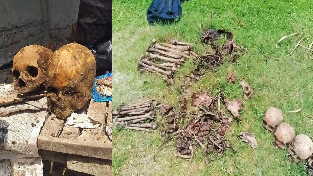 ব্যাগ খুলতেই বের হলো ৫টি মাথার খুলি, তদন্তে পুলিশ