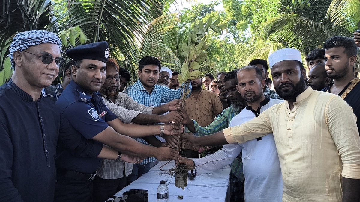 পরিবেশ রক্ষায় জামালপুরে বৃক্ষরোপণ ও গাছের চারা বিতরণ