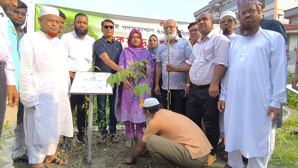 জামালপুরে জুলাই শহীদদের স্মরণে 'এক শহীদ, এক বৃক্ষ' কর্মসূচি