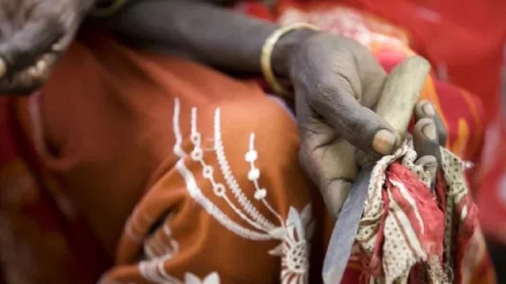 Female circumcision has increased