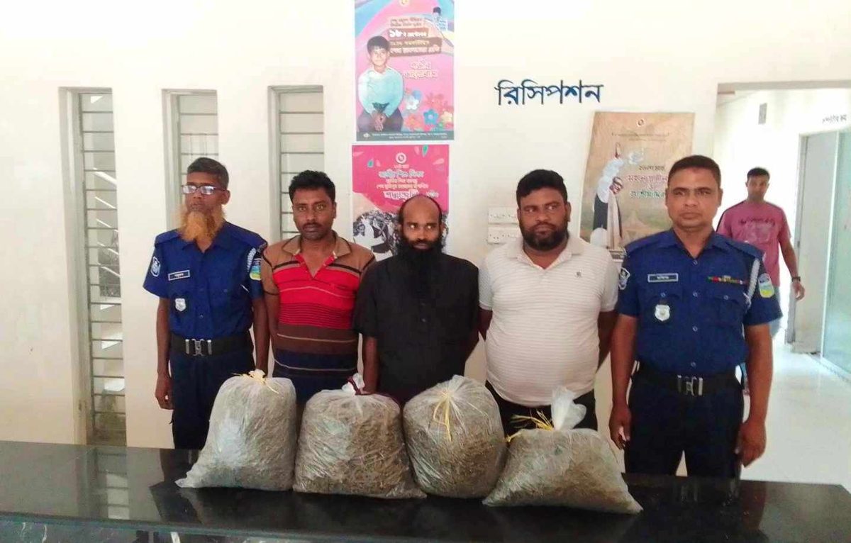 মেলান্দহে ১১ কেজি গাঁজাসহ ৩ মাদক কারবারি গ্রেপ্তার