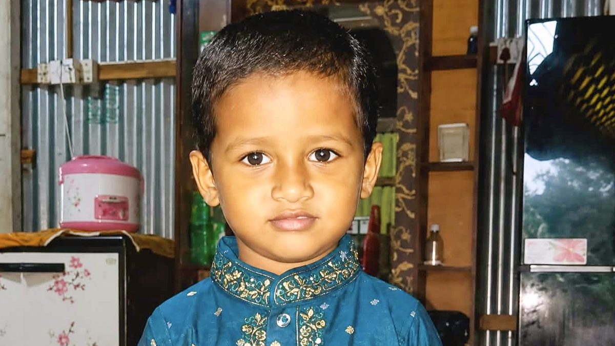 ধানক্ষেতে ব্যস্ত পরিবার, ঘরে সাপের ছোবলে প্রাণ গেল শিশুর
