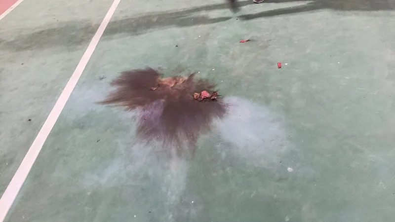 চাঁপাইনবাবগঞ্জে ডিসির বাসভবনের পাশে ককটেল বিস্ফোরণ