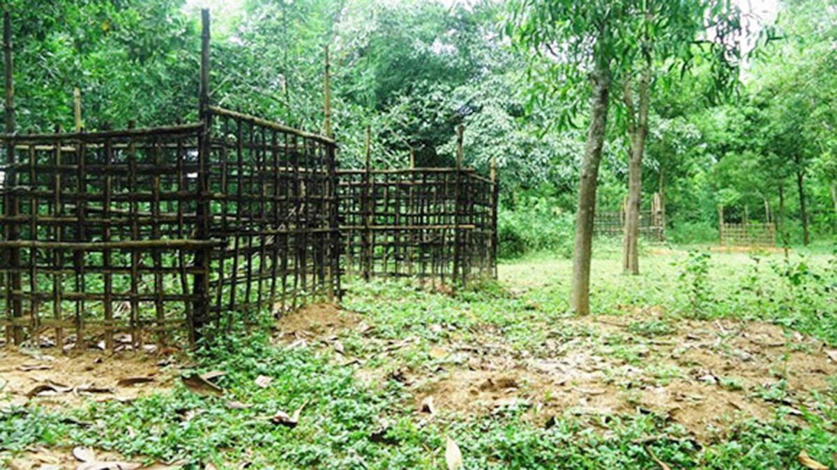 স্বামীর মৃত্যুর দুই ঘণ্টা পর চলে গেলেন স্ত্রীও!