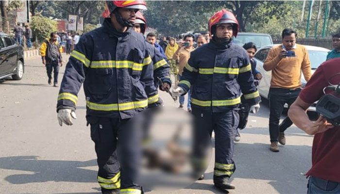 সচিবালয়ের অষ্টমতলায় মিলল কুকুরের পোড়া মরদেহ