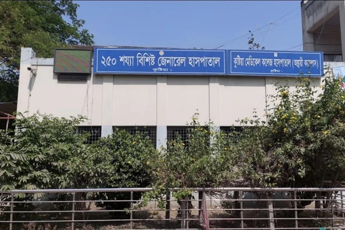 কুষ্টিয়ায় সাপের কামড়ে হাসপাতালে ১৩ জন