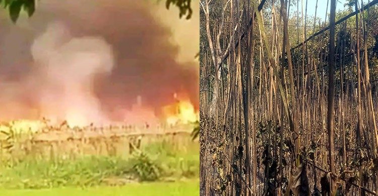 ১০ কি.মি. এলাকাজুড়ে জ্বলছে আগুন, ফসলি জমি-বসত বাড়ি পুড়ে ছাই