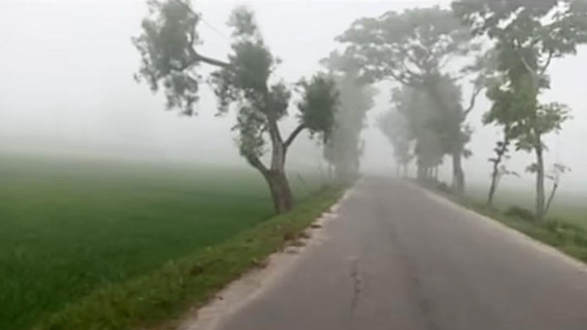 চৈত্রে ঘন কুয়াশায় ঢাকা পড়ল পঞ্চগড়