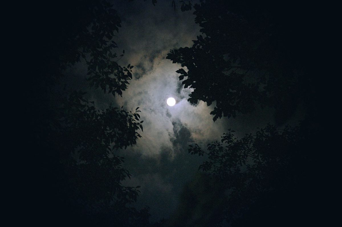 বছরের দীর্ঘতম রজনী আজ
