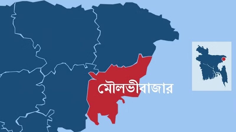 ভাতিজাকে চড় মারায় বড় ভাইয়ের হাতে ছোট ভাই খুন