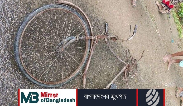 শেরপুরে ট্রাকের চাপায় বাবা-ছেলের মৃত্যু