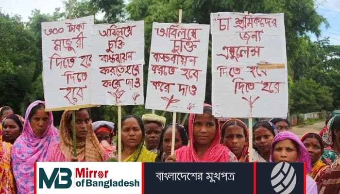 প্রধানমন্ত্রীর আশ্বাসে চা শ্রমিকদের ধর্মঘট প্রত্যাহার