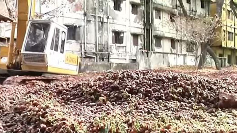 পচে যাওয়া ২০০ টন পেঁয়াজ ফেলে দিলো টিসিবি