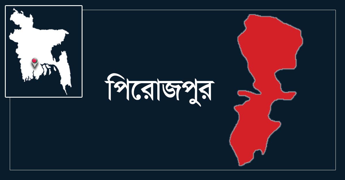 পিরোজপুরে পূর্ব শত্রুতার জেরে গৃহবধূকে কুপিয়ে জখম