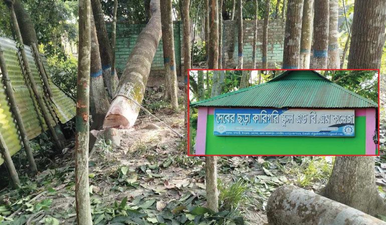 মেলান্দহে অধ্যক্ষের বিরুদ্ধে কলেজের গাছ কাটার অভিযোগ