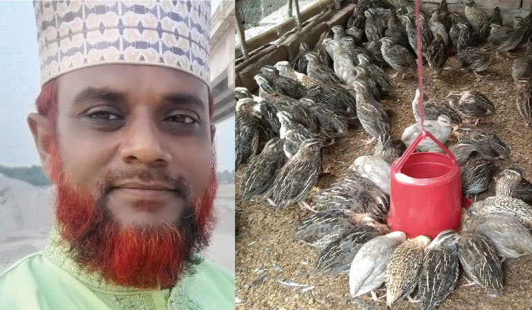 কুষ্টিয়ায় কোয়েল পাখি পালনে সফল শিক্ষক মাহমুদ শরীফ