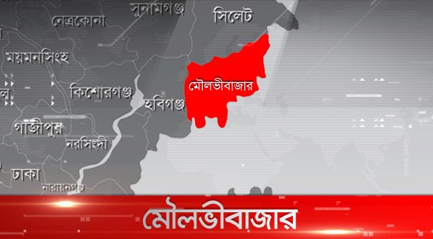 মায়ের হাতে শিশু খুন!