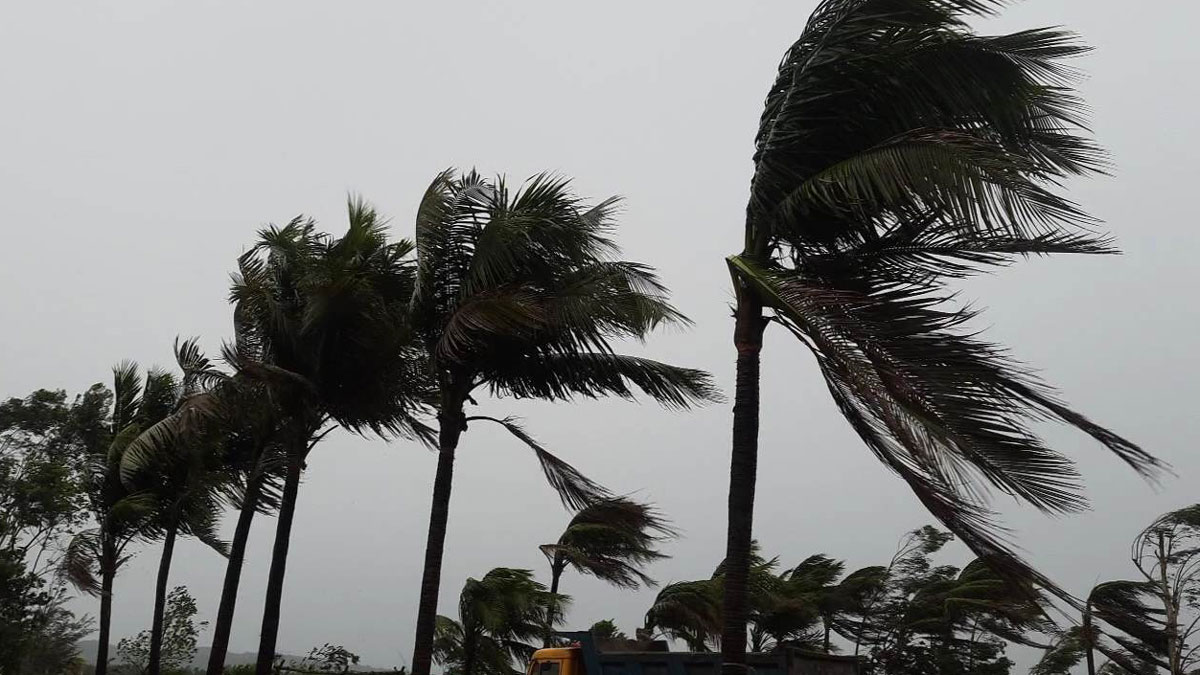 ৯ জেলায় ৬০কিমি বেগে ঝড়ের আভাস