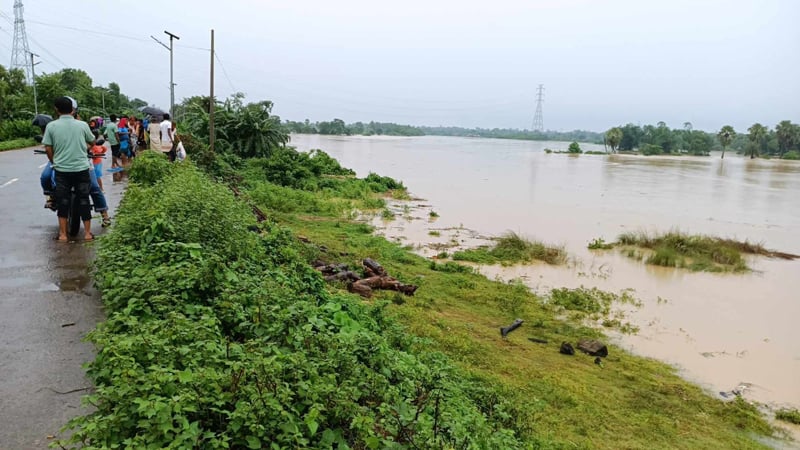 ভারত থেকে হু হু করে আসছে পানি, কুমিল্লায় বাঁধ পর্যবেক্ষণে সেনাবাহিনী