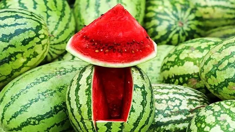 কেজি দরে বিক্রি করা যাবে না তরমুজ