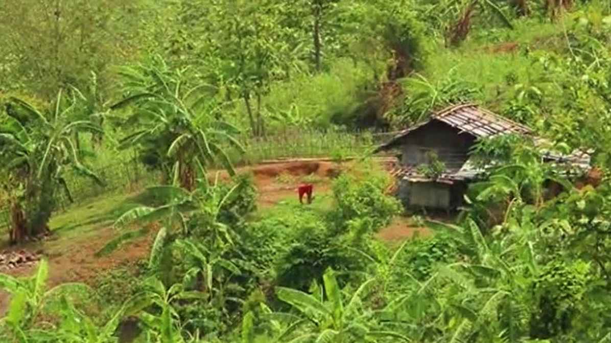 খাগড়াছড়িতে দুর্বৃত্তের গুলিতে ইউপিডিএফের দুই কর্মী নিহত