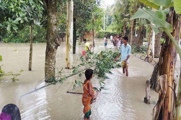 কুড়িগ্রামে বন্যা, পানিবন্দি ১৫ হাজার পরিবার