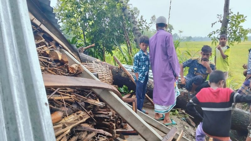 গভীর রাতে গাছচাপায় ঘুমন্ত মা ও ২ মেয়ের মর্মান্তিক মৃত্যু