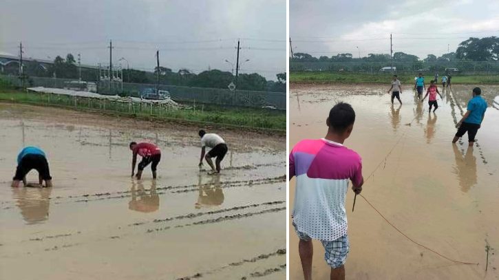 আসন্ন খাদ্য সংকট মোকাবেলায় শেকৃবি শিক্ষার্থীদের উদ্যোগ