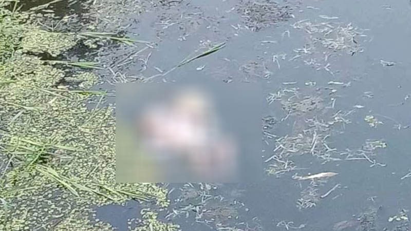 ব্রিজের নিচে পানিতে ভাসছিল এক দিনের নবজাতক