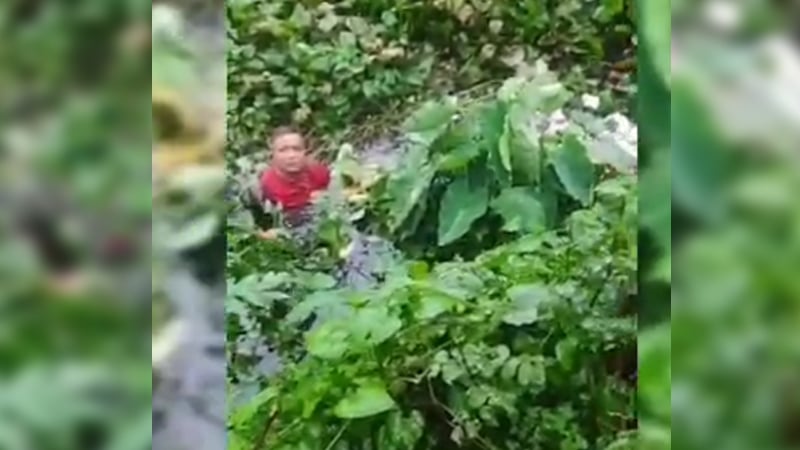 ছাত্র-জনতার ভয়ে ডোবায় ঝাঁপ দিলেন সাবেক মেয়র, অতঃপর...