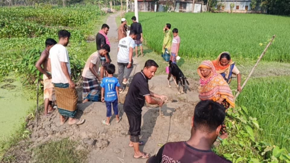 খোকসার শিমুলিয়ায় জলাবদ্ধতা নিরসন, স্বস্তিতে তিন শতাধিক পরিবার