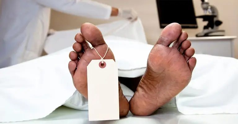 কুষ্টিয়ায় ট্রাকচাপায় আগলামন চালক নিহত